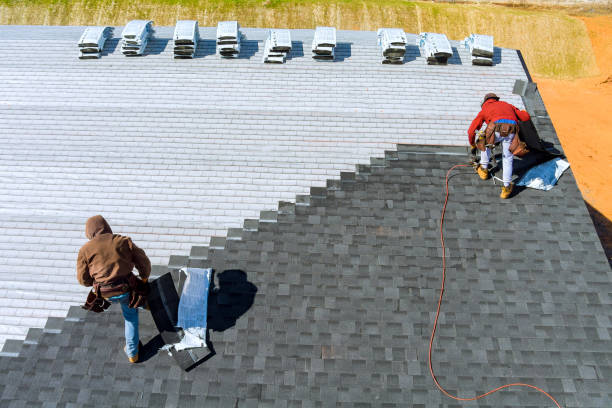 Best Storm Damage Roof Repair  in Lakeview, OH