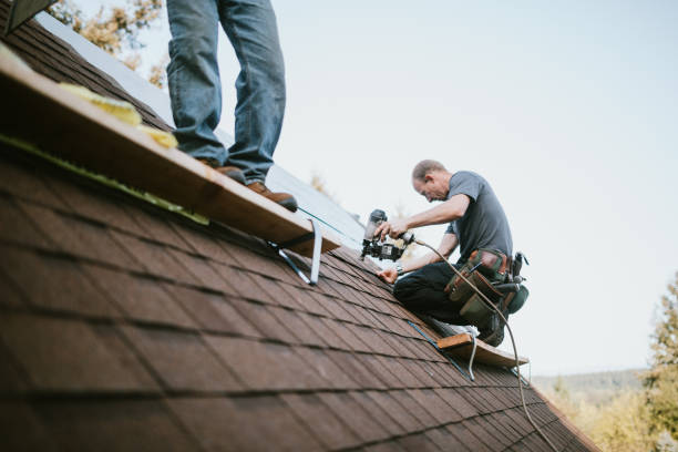 Best Storm Damage Roof Repair  in Lakeview, OH